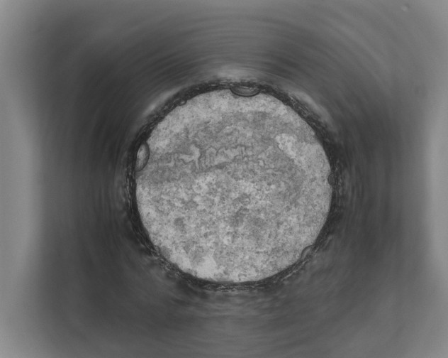 X0000111450776200908101034