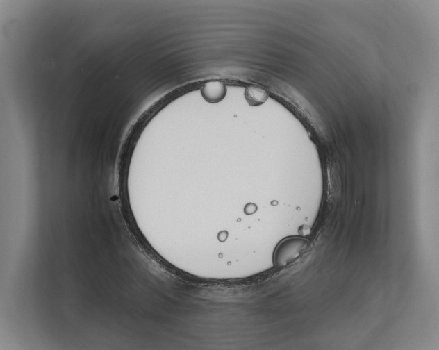 X0000111450780200908101034