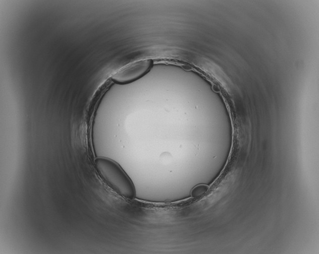 X0000111450781200908101034