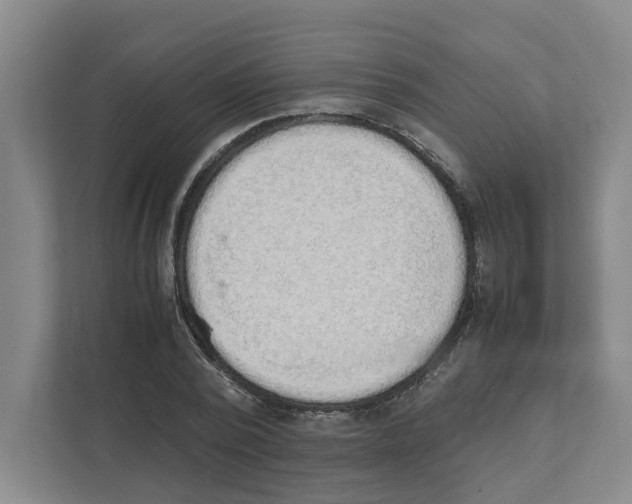 X0000111450784200908101034