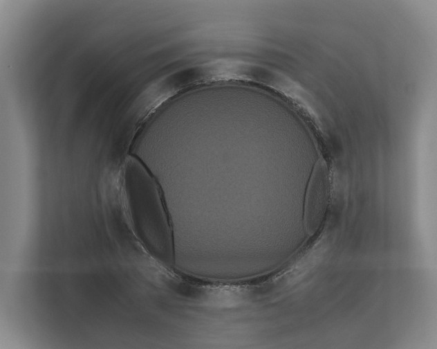 X0000111450785200908101034