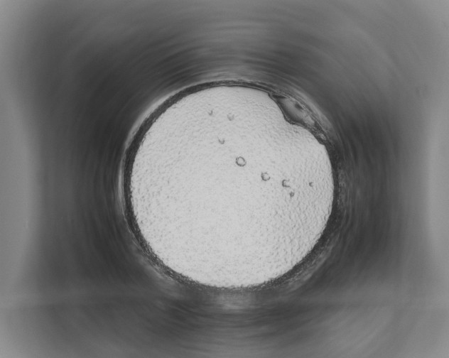 X0000111450788200908101033