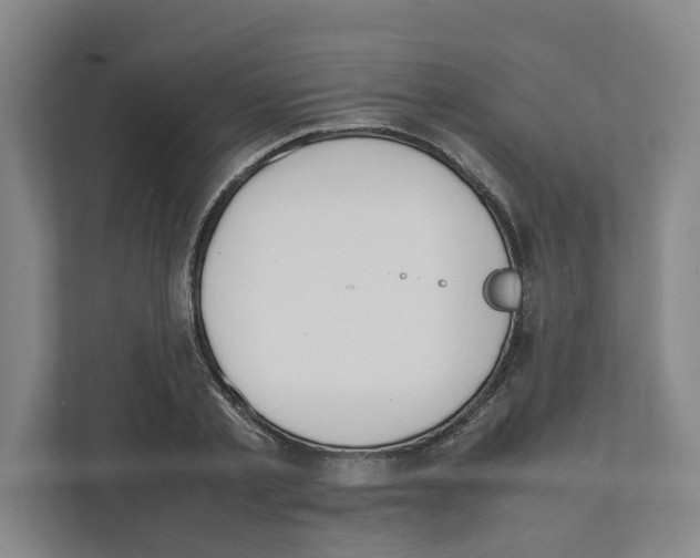 X0000111450789200908101033