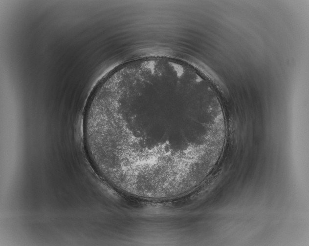 X0000111450790200908101033