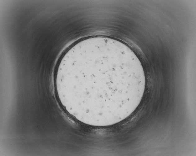 X0000111450792200908101033