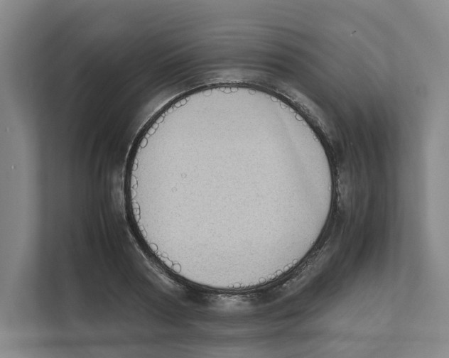 X0000111450794200908101033
