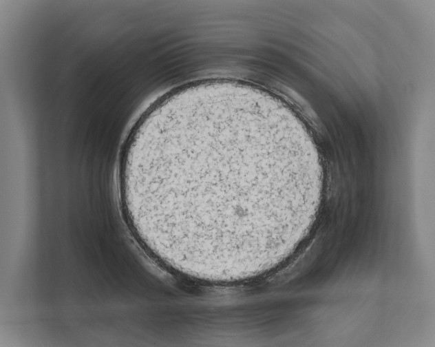 X0000111450796200908101033