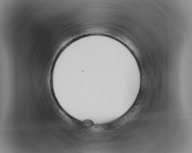 X0000111450799200908101033