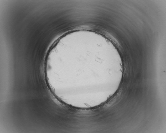 X0000111450800200908101033