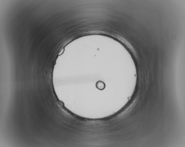 X0000111450801200908101033