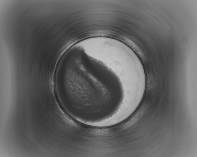 X0000111450802200908101033