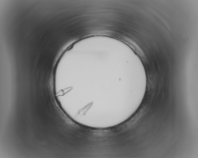 X0000111450804200908101033