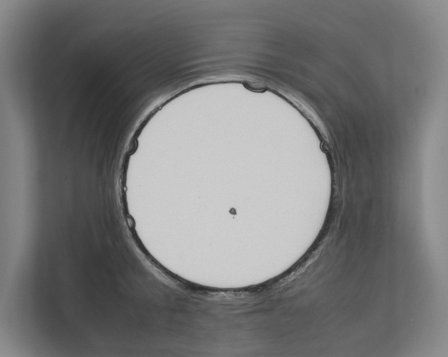 X0000111450805200908101033