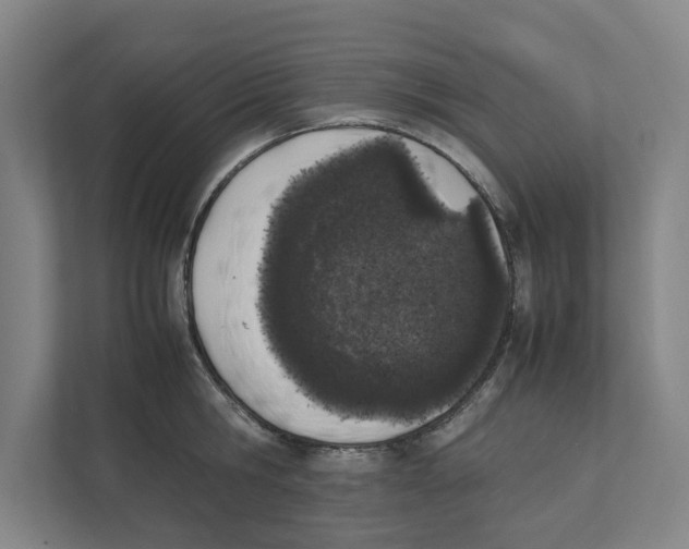 X0000111450806200908101033