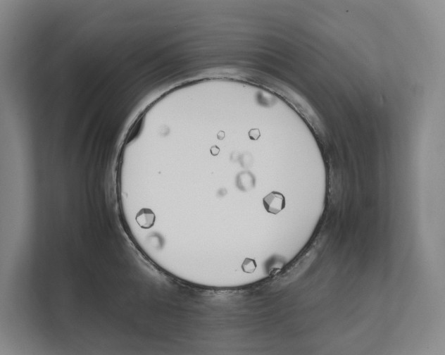 X0000111450808200908101033