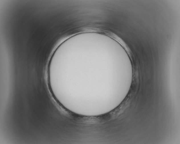 X0000111450811200908101033