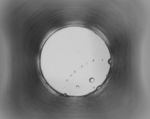 X0000111450812200908101033
