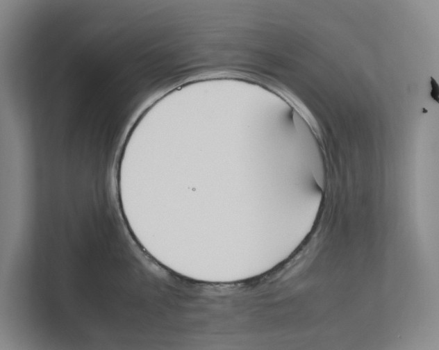 X0000111450813200908101033