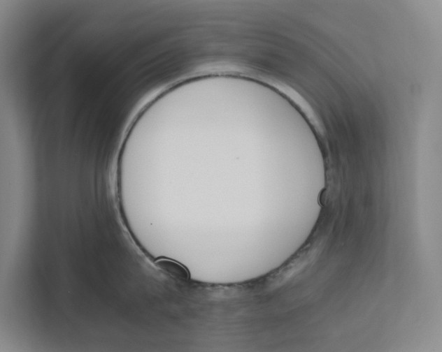 X0000111450815200908101033