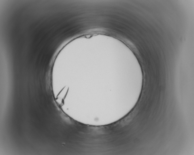 X0000111450816200908101033