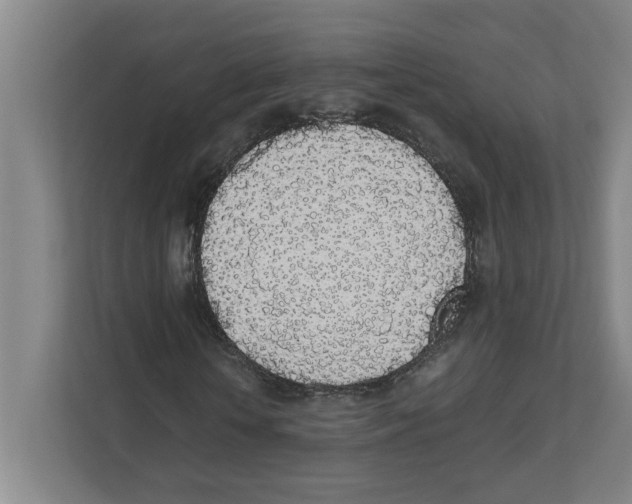 X0000111450818200908101032
