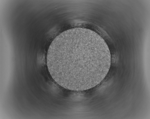 X0000111450820200908101033