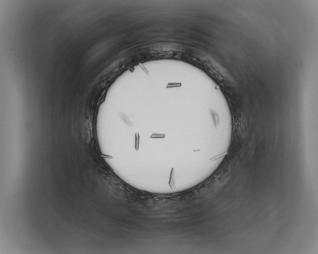 X0000111450821200908101033