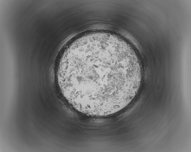 X0000111450829200908101033