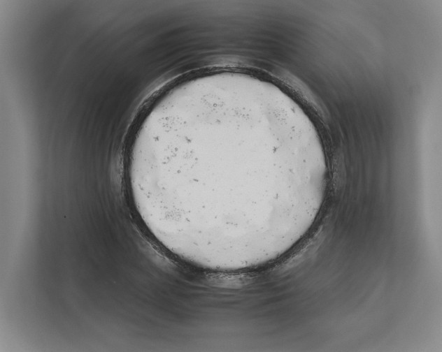 X0000111450831200908101033
