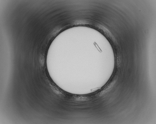 X0000111450833200908101033