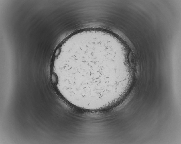 X0000111450834200908101033