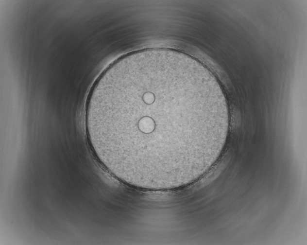 X0000111450836200908101033