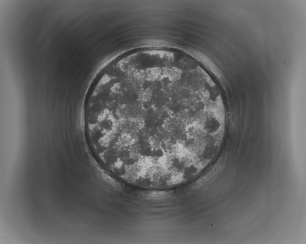 X0000111450839200908101033