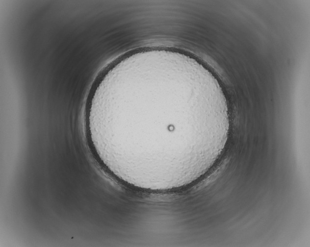 X0000111450840200908101033