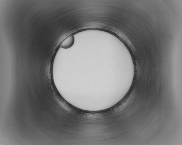 X0000111450842200908101033