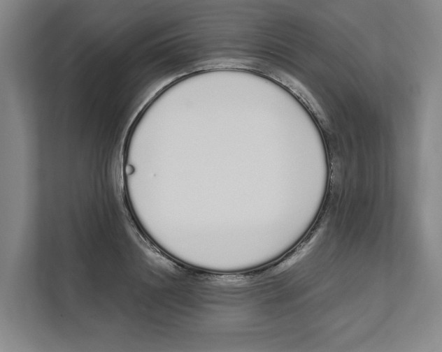 X0000111450844200908101033