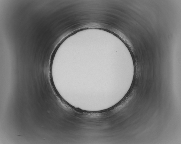 X0000111450845200908101033