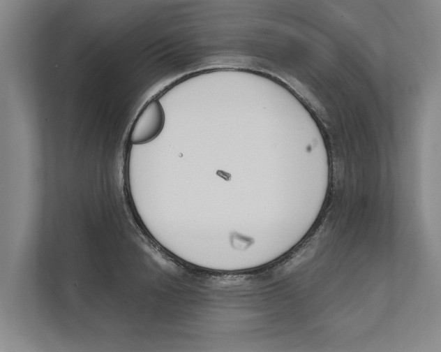 X0000111450846200908101033