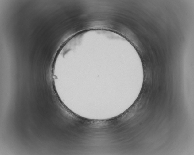 X0000111450848200908101033