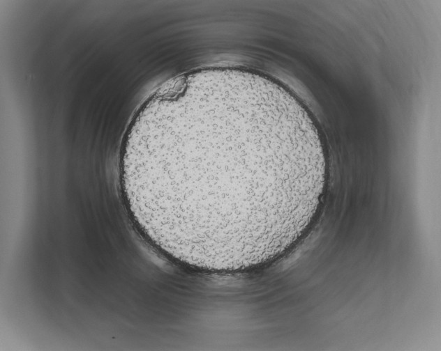 X0000111450850200908101033