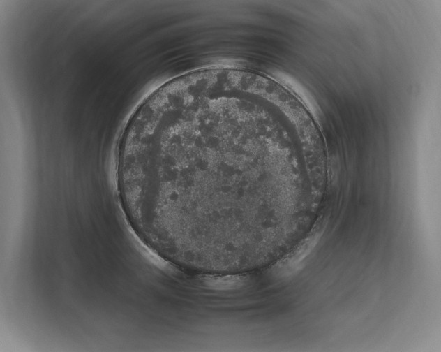 X0000111450851200908101033