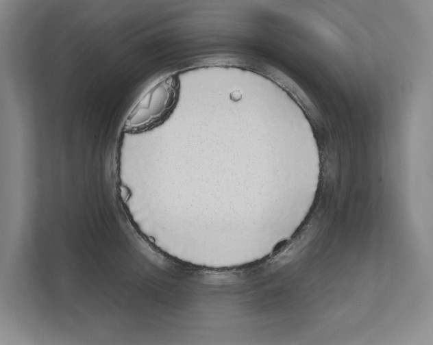 X0000111450852200908101033