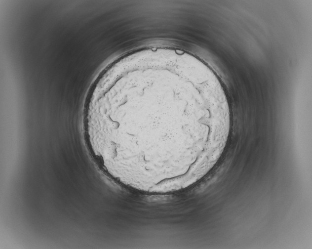 X0000111450853200908101033