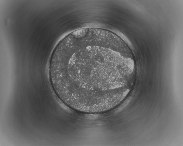 X0000111450854200908101033