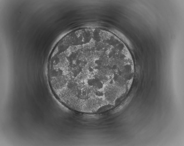 X0000111450855200908101033