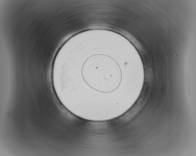X0000111450856200908101033