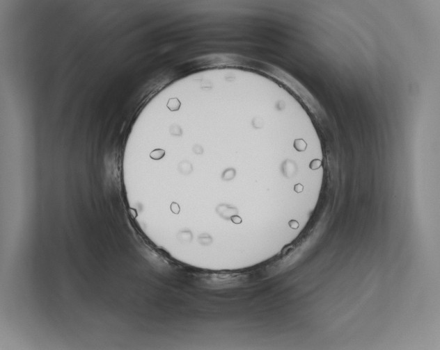 X0000111450857200908101033