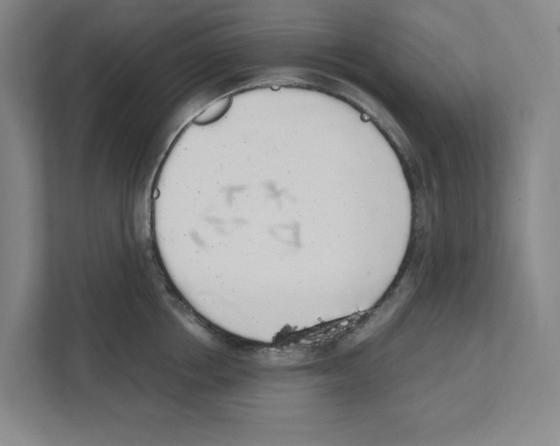 X0000111450858200908101033