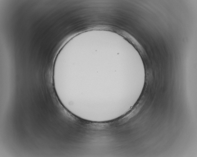 X0000111450860200908101033
