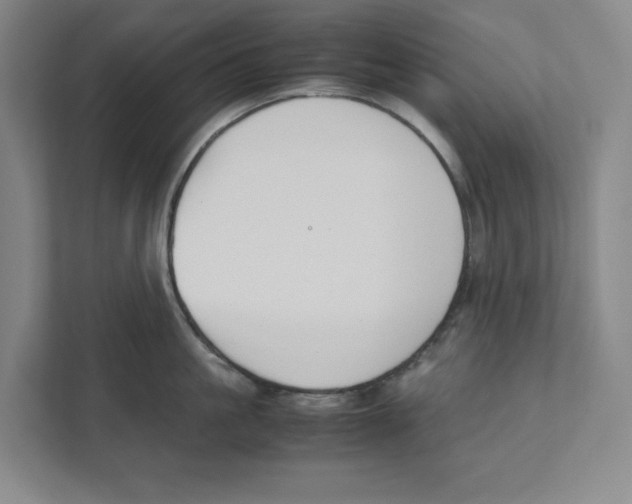 X0000111450861200908101033